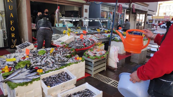 Köşem Balıkcılık