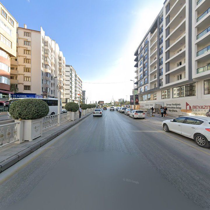 Fotoğraf 12