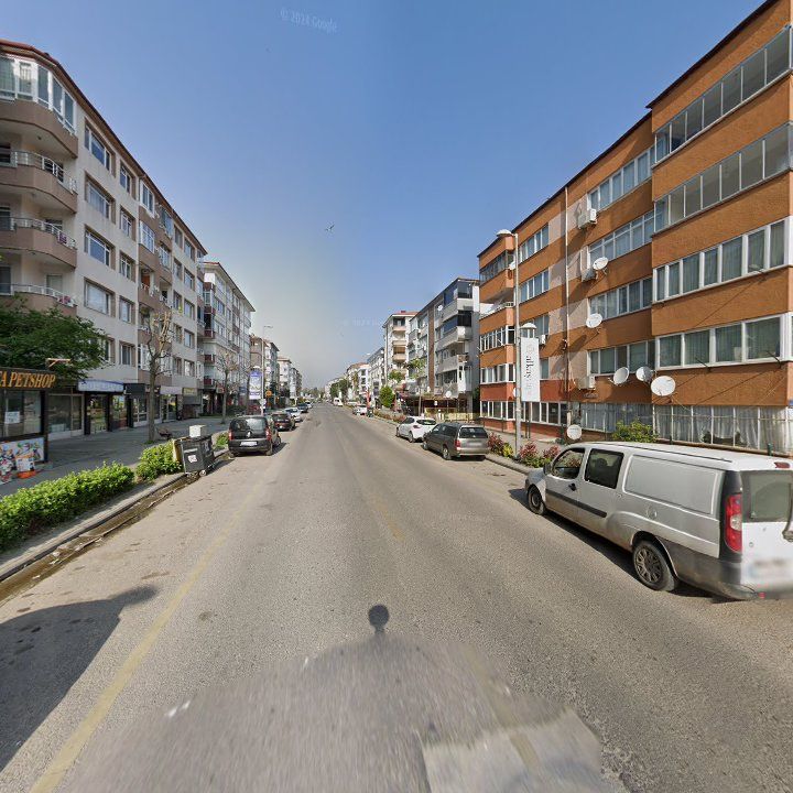 Fotoğraf 7