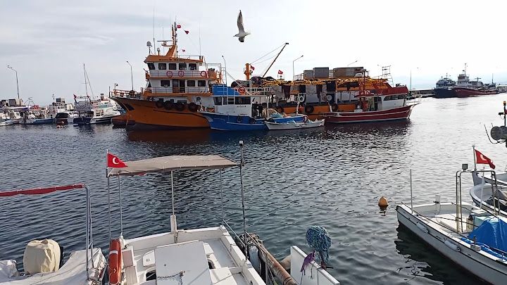 Fotoğraf 3
