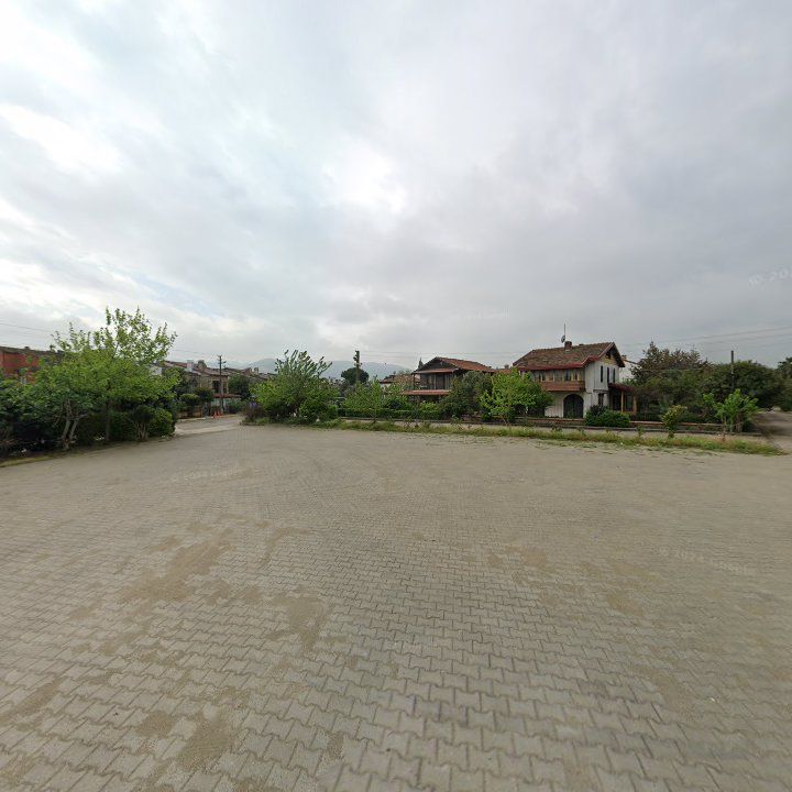 Fotoğraf 6