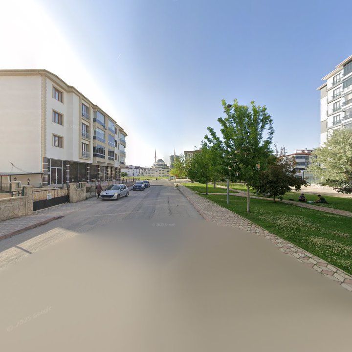 Fotoğraf 12