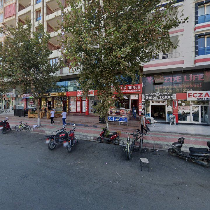 Fotoğraf 4