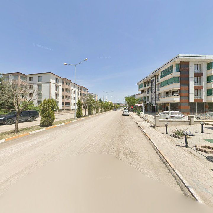 Fotoğraf 11