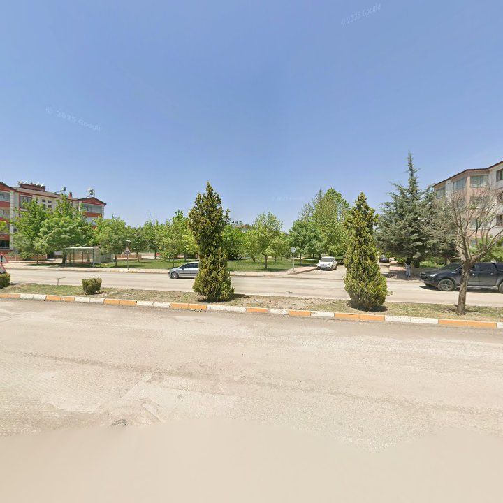 Fotoğraf 10