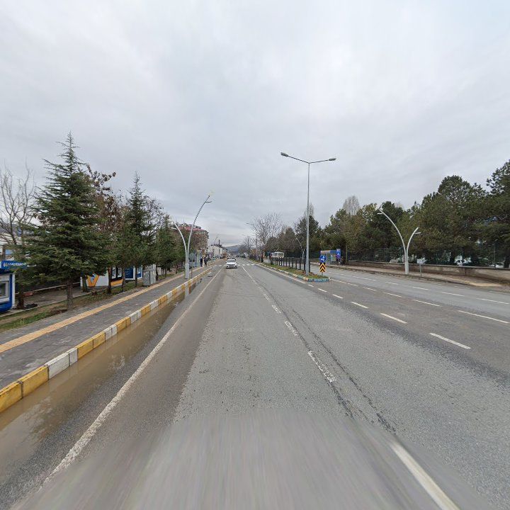 Fotoğraf 5
