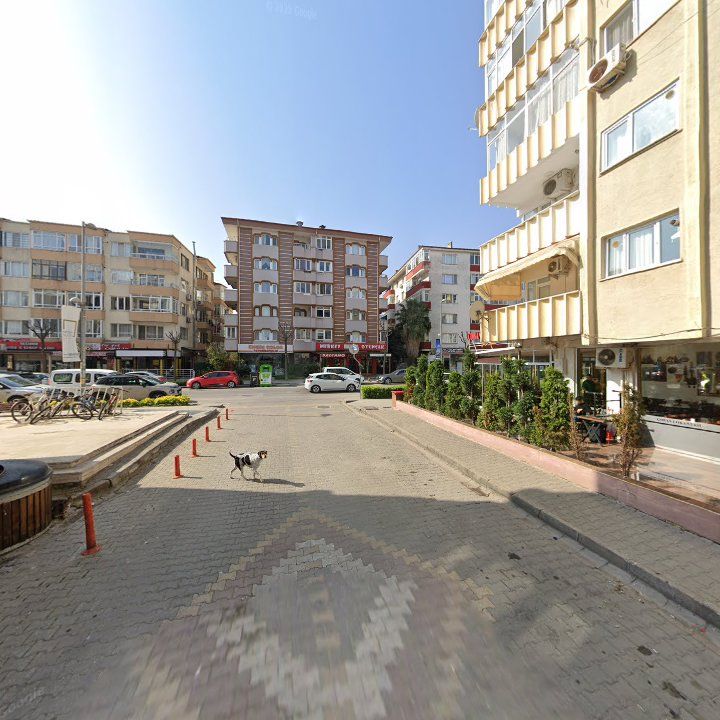 Fotoğraf 10