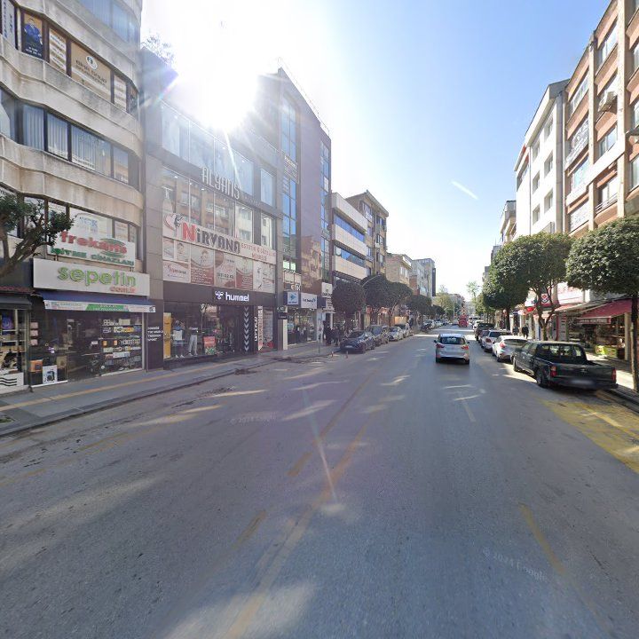 Fotoğraf 12
