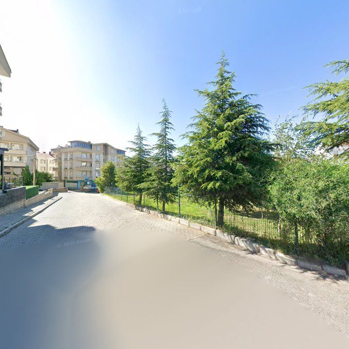 Fotoğraf 13