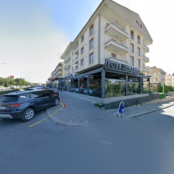 Fotoğraf 12