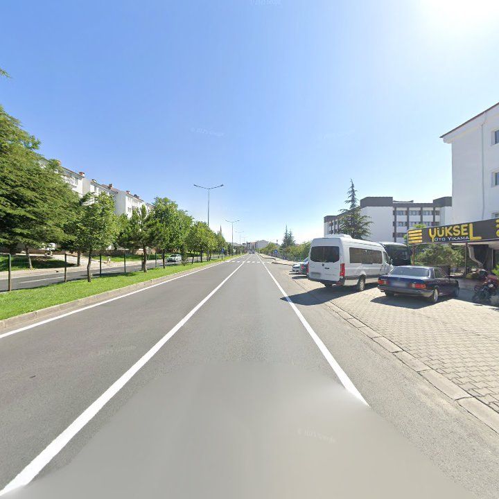 Fotoğraf 11