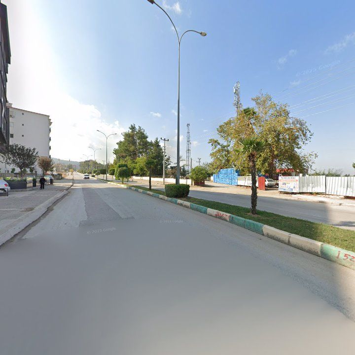 Fotoğraf 9