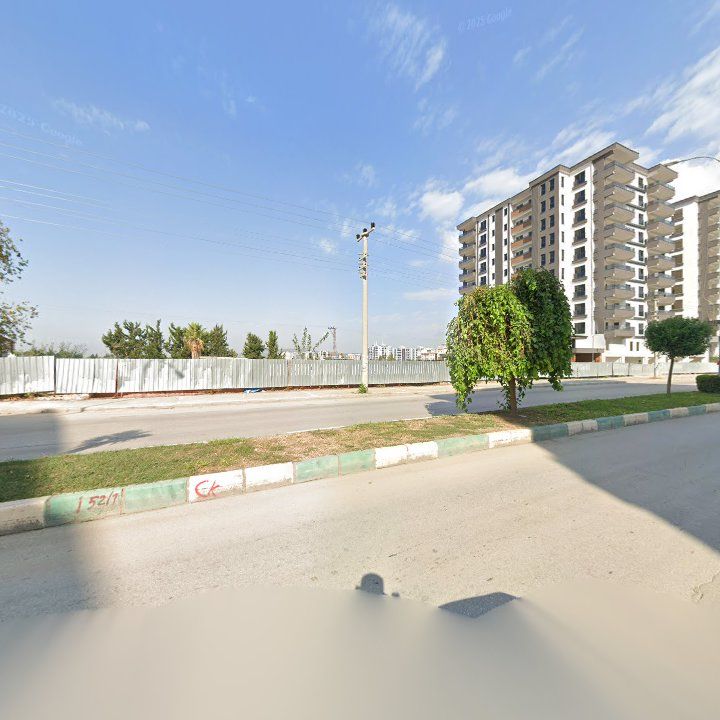 Fotoğraf 10