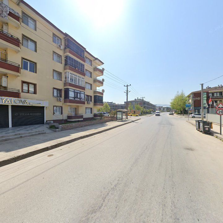 Fotoğraf 11
