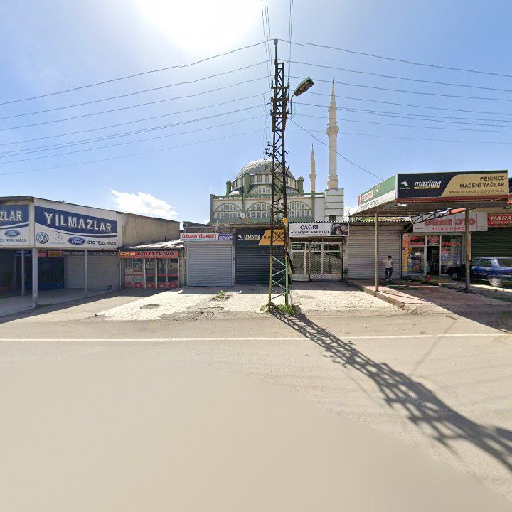 Fotoğraf 6