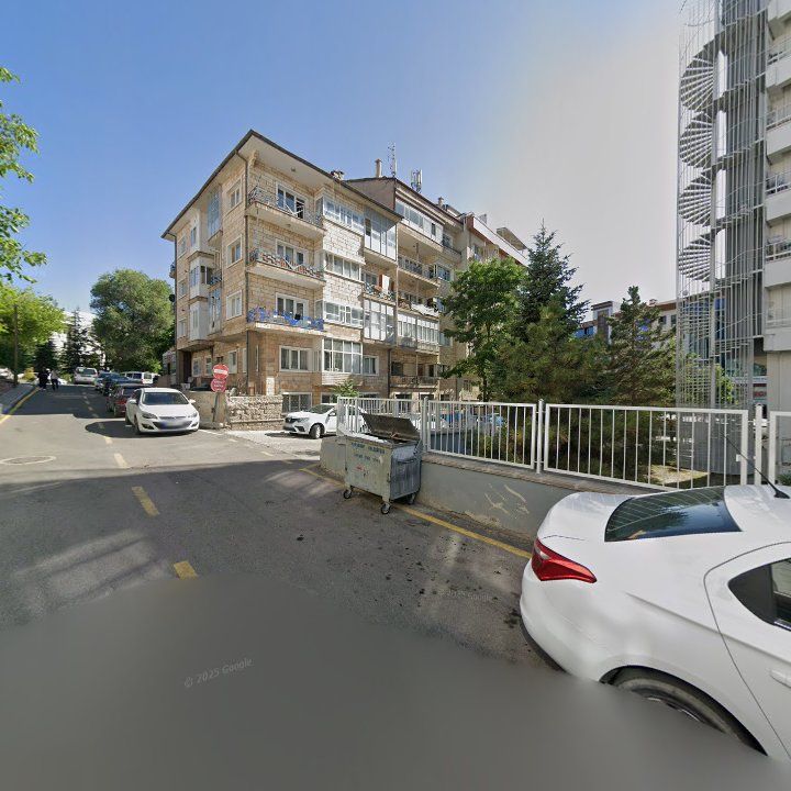 Fotoğraf 13