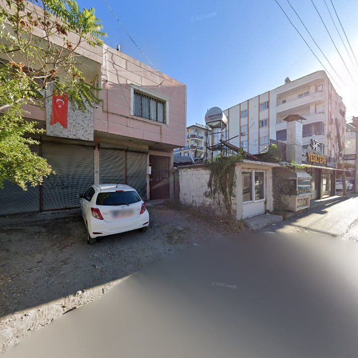 Fotoğraf 11