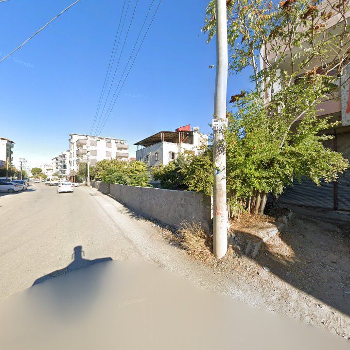 Fotoğraf 10