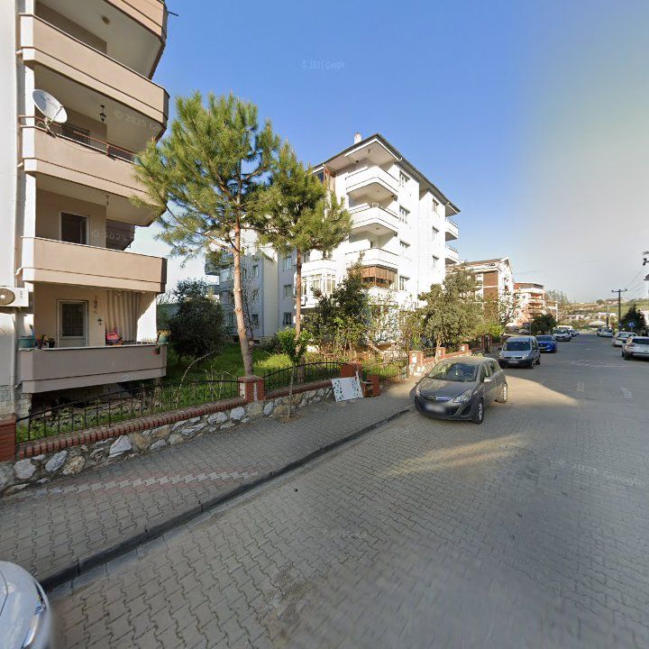 Fotoğraf 6