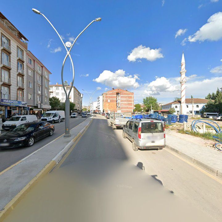 Fotoğraf 8