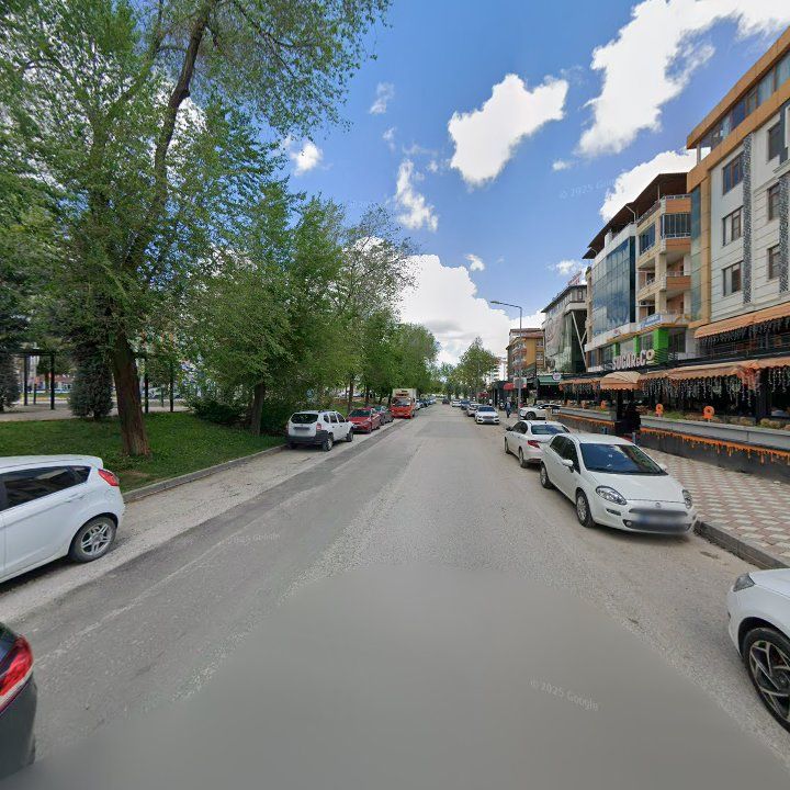 Fotoğraf 11
