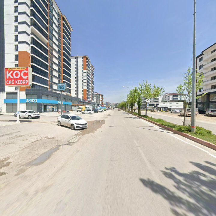 Fotoğraf 7