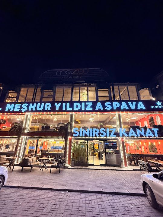 Meşhur Yıldız Aspava
