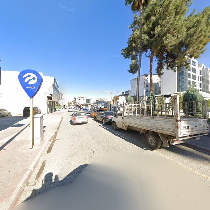 Fotoğraf 7