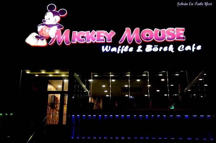 Mickey Mouse Waffle House