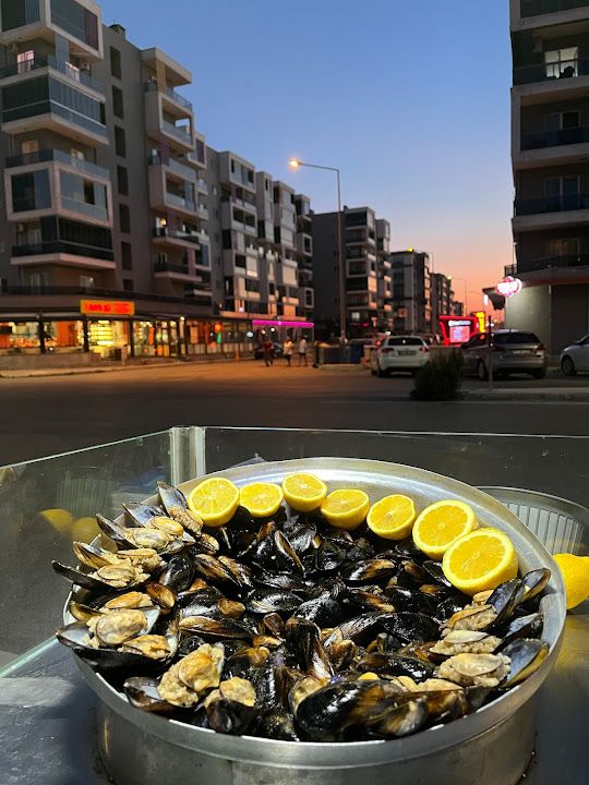 MİDYE KAPANI