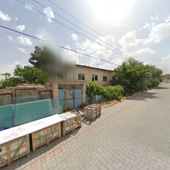 Fotoğraf 12