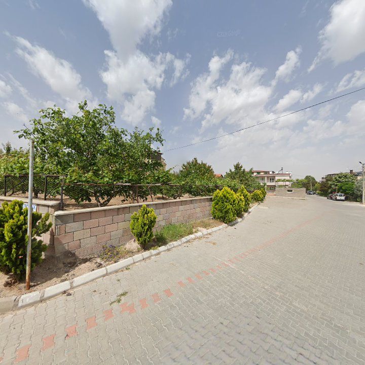 Fotoğraf 14
