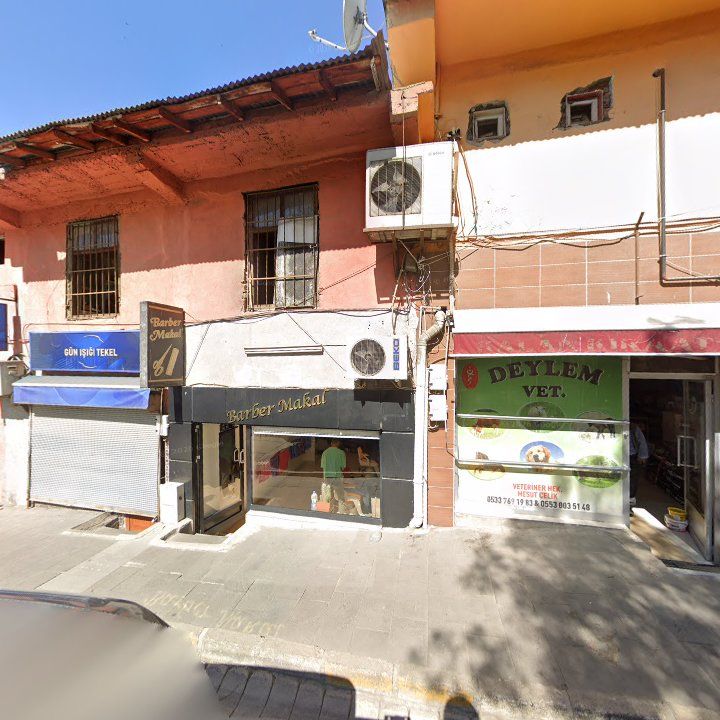 Fotoğraf 3