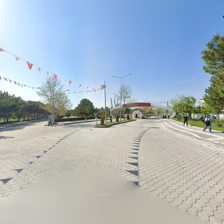 Fotoğraf 9
