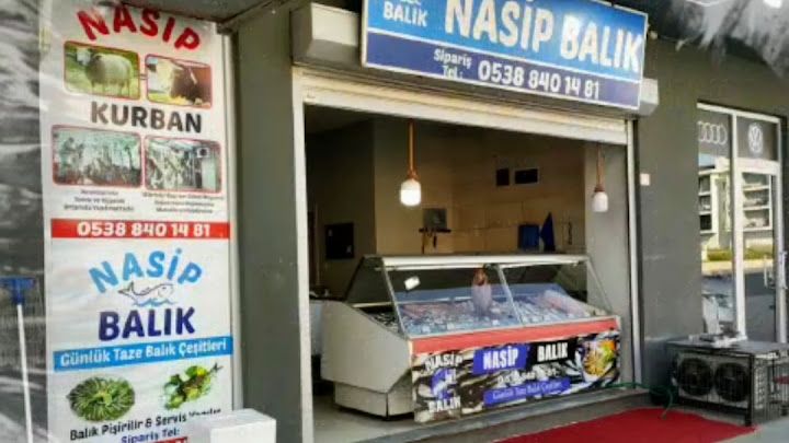 Nasip Balık