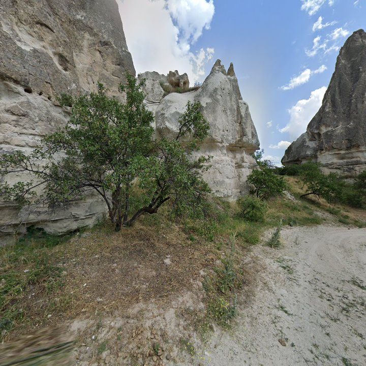Fotoğraf 15