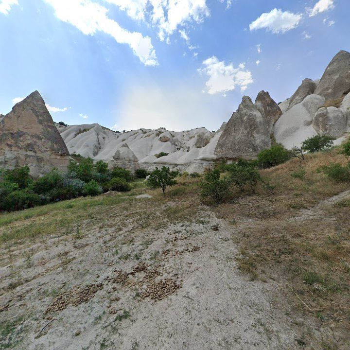 Fotoğraf 17