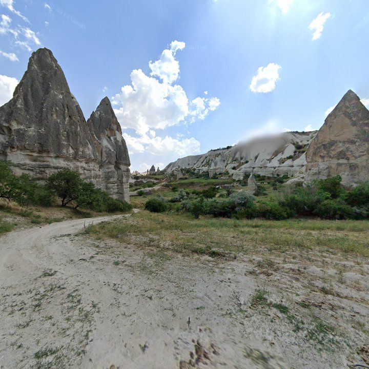 Fotoğraf 16