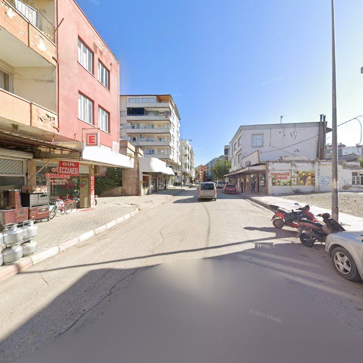 Fotoğraf 11