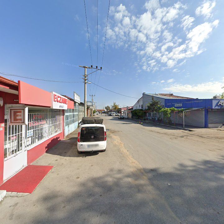 Fotoğraf 3