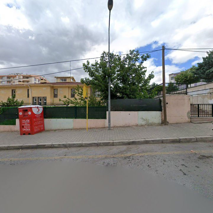 Fotoğraf 10