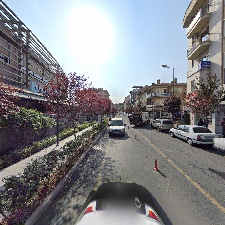 Fotoğraf 8