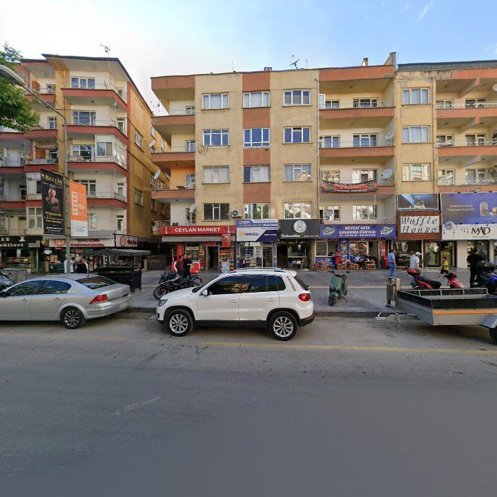Fotoğraf 6