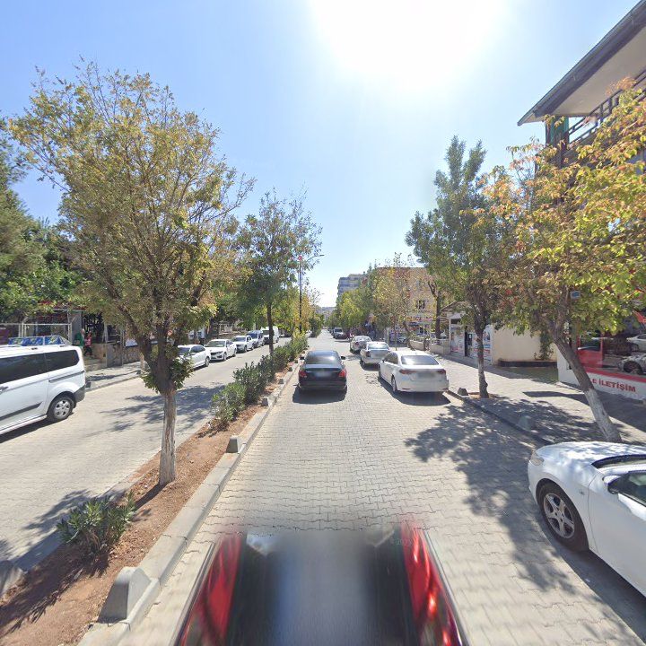 Fotoğraf 4