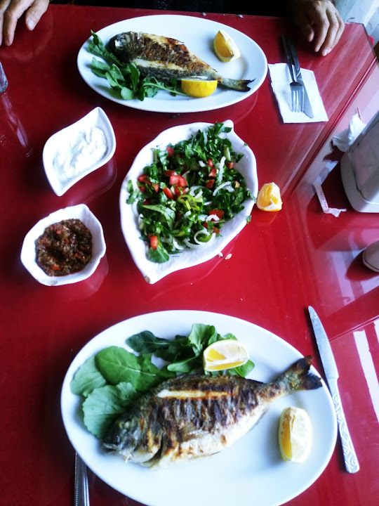 Fotoğraf 5