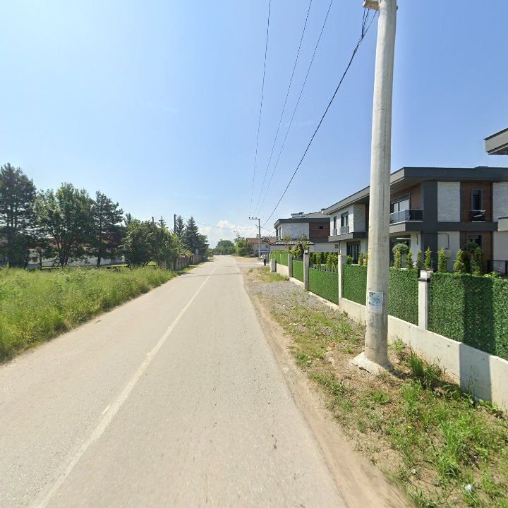 Fotoğraf 11