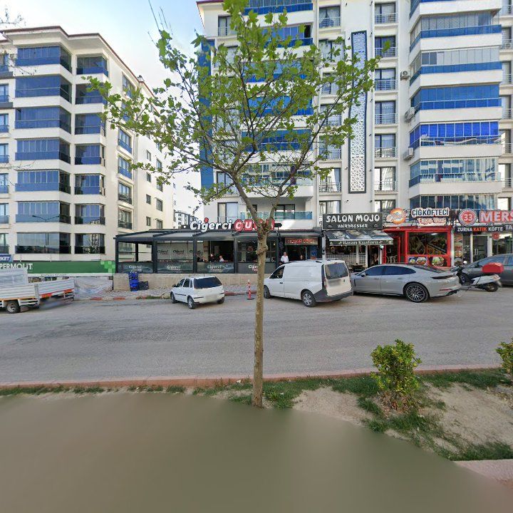 Fotoğraf 8