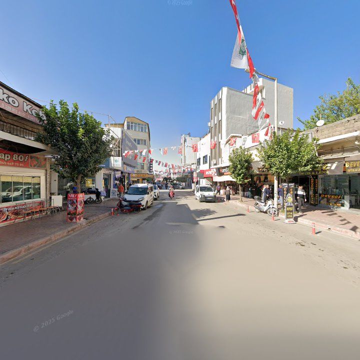 Fotoğraf 7