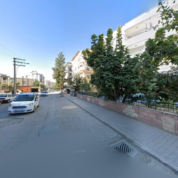 Fotoğraf 3