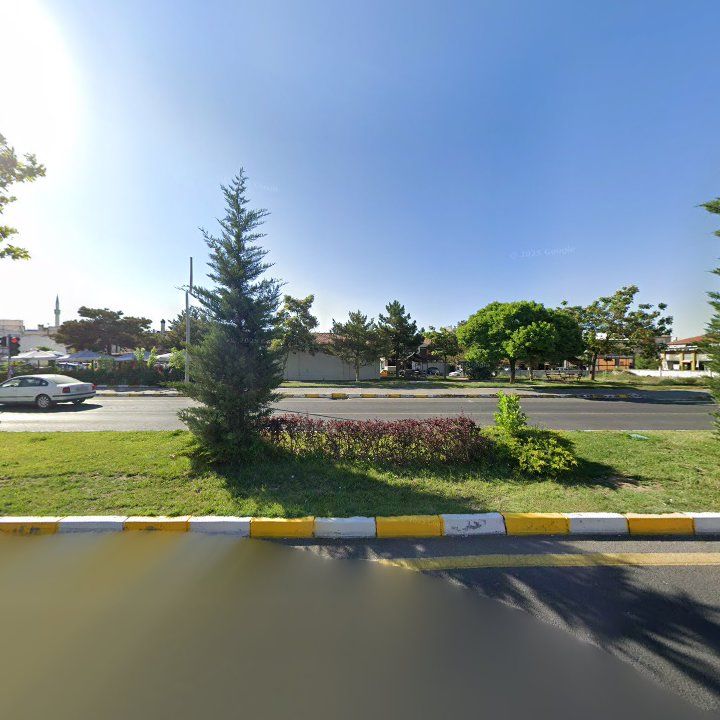 Fotoğraf 7